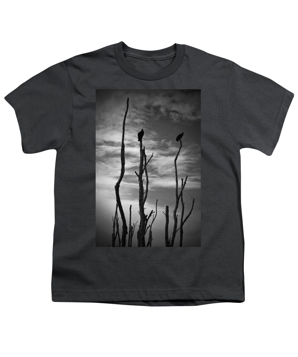 Vulture Youth T-Shirt featuring the photograph Two Vultures On Dead Trees by Bradley R Youngberg