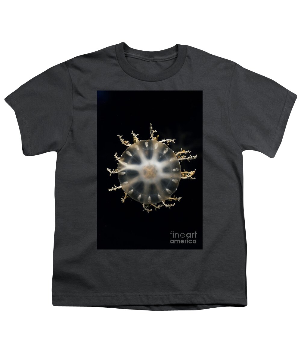Hiroya Minakuchi Youth T-Shirt featuring the photograph Upside-down Jellyfish Japan by Hiroya Minakuchi