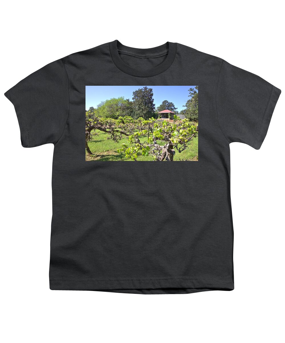 8306 Youth T-Shirt featuring the photograph Vineyard View by Gordon Elwell