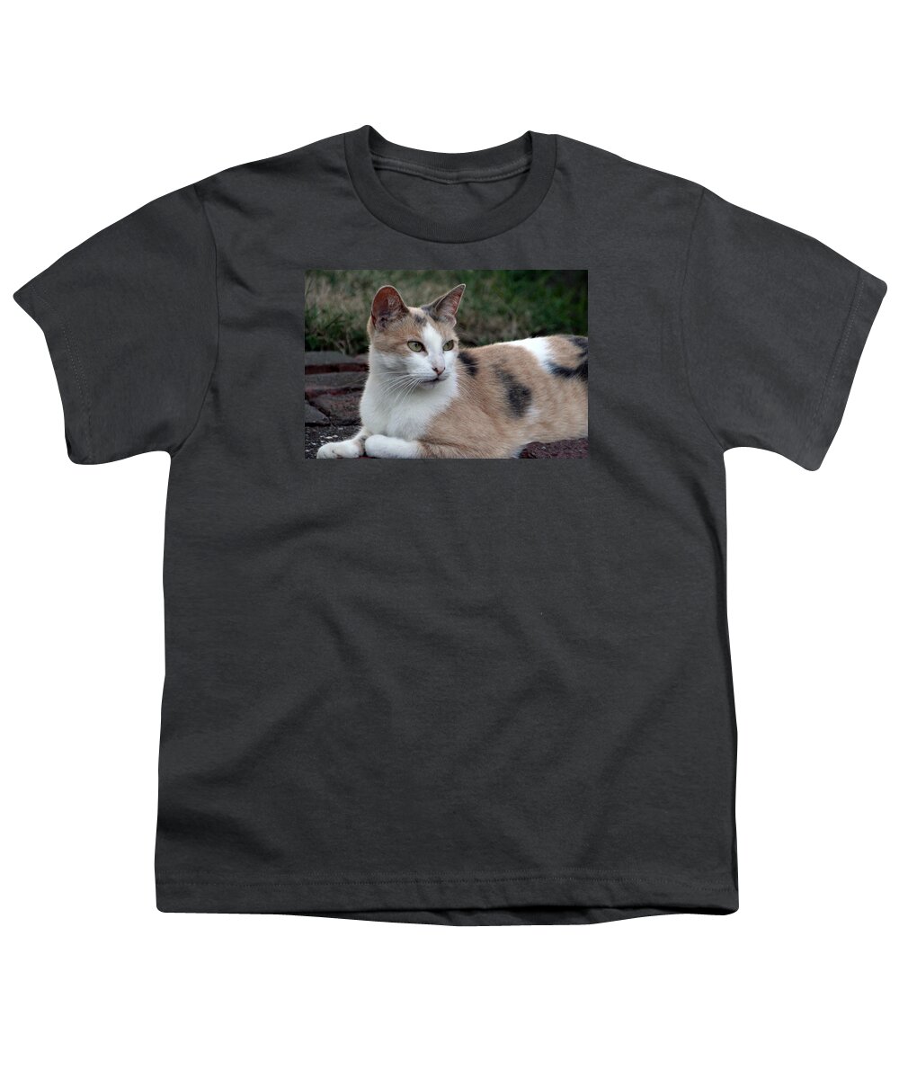 Cat Youth T-Shirt featuring the photograph The Patience of a Cat by Valerie Collins