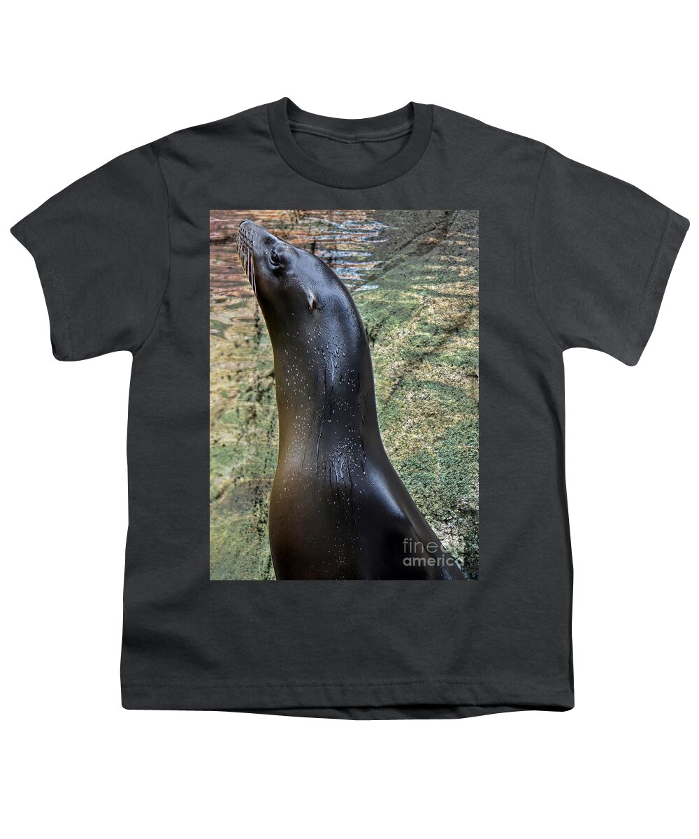 Sea Lion Youth T-Shirt featuring the photograph Wet Seal by Lilliana Mendez