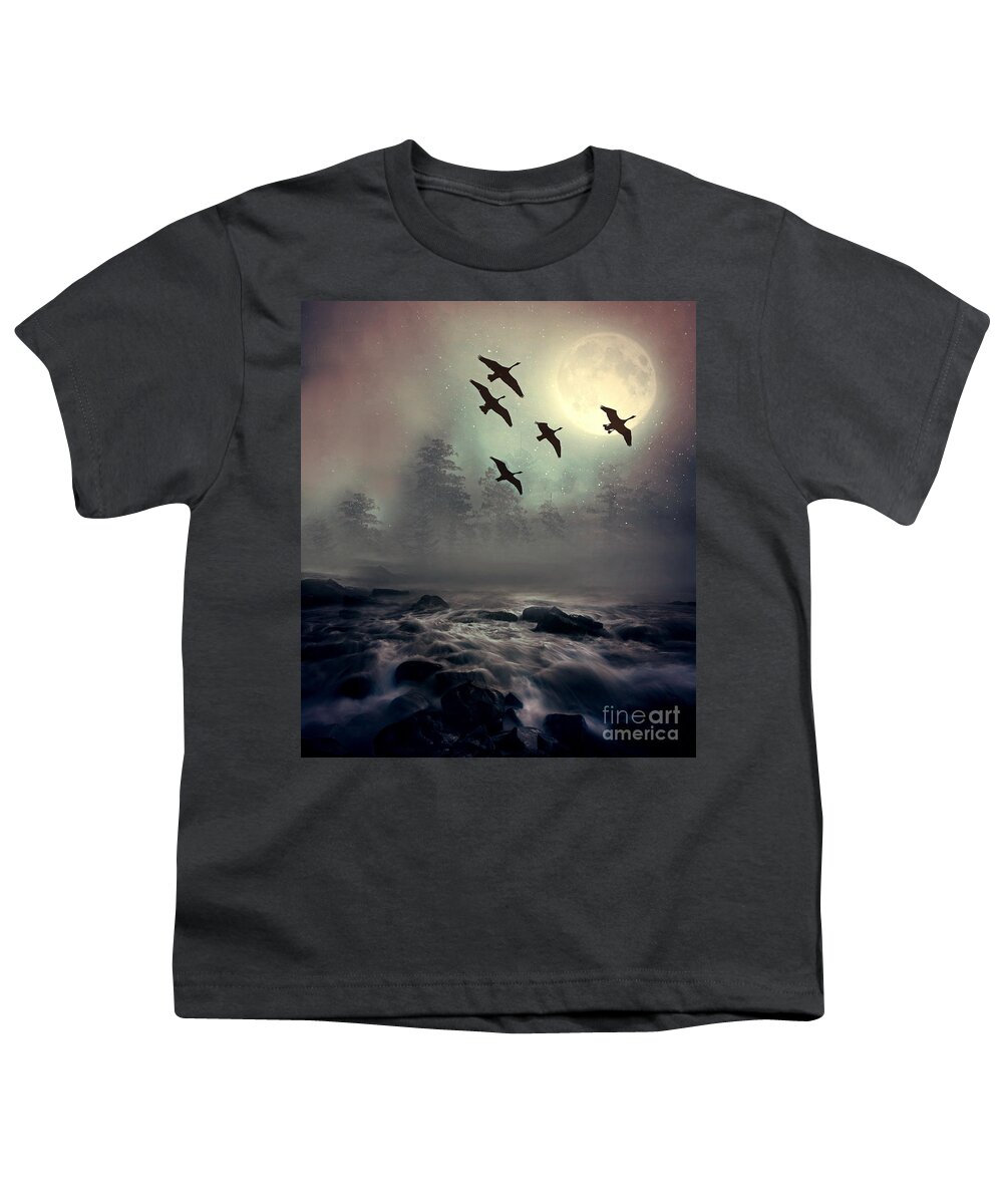 Geese Youth T-Shirt featuring the photograph Winter Golden Hour by Andrea Kollo