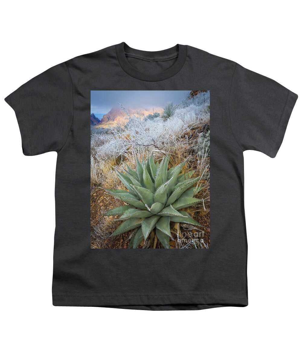 Agave Americana Youth T-Shirt featuring the photograph Winter Morning in the Chisos by Inge Johnsson