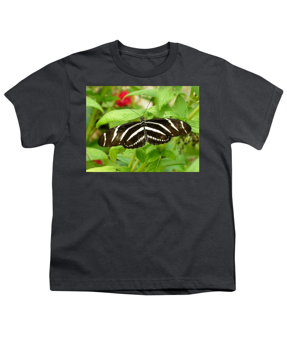 Nature Youth T-Shirt featuring the photograph Zebra Longwing by Judy Wanamaker
