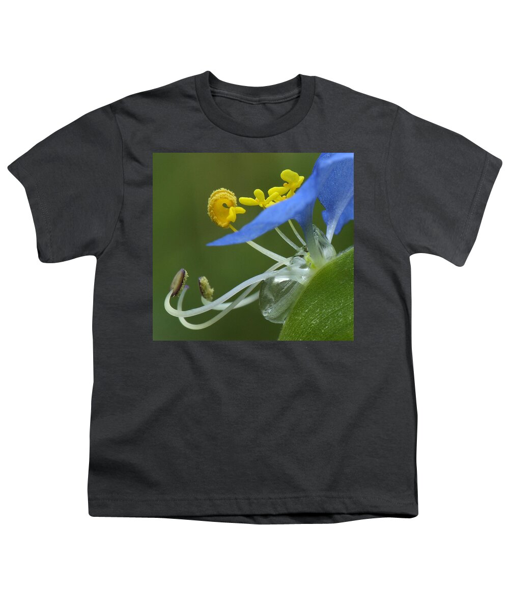 Slender Dayflower Youth T-Shirt featuring the photograph Close View Of Slender Dayflower Flower With Dew by Daniel Reed