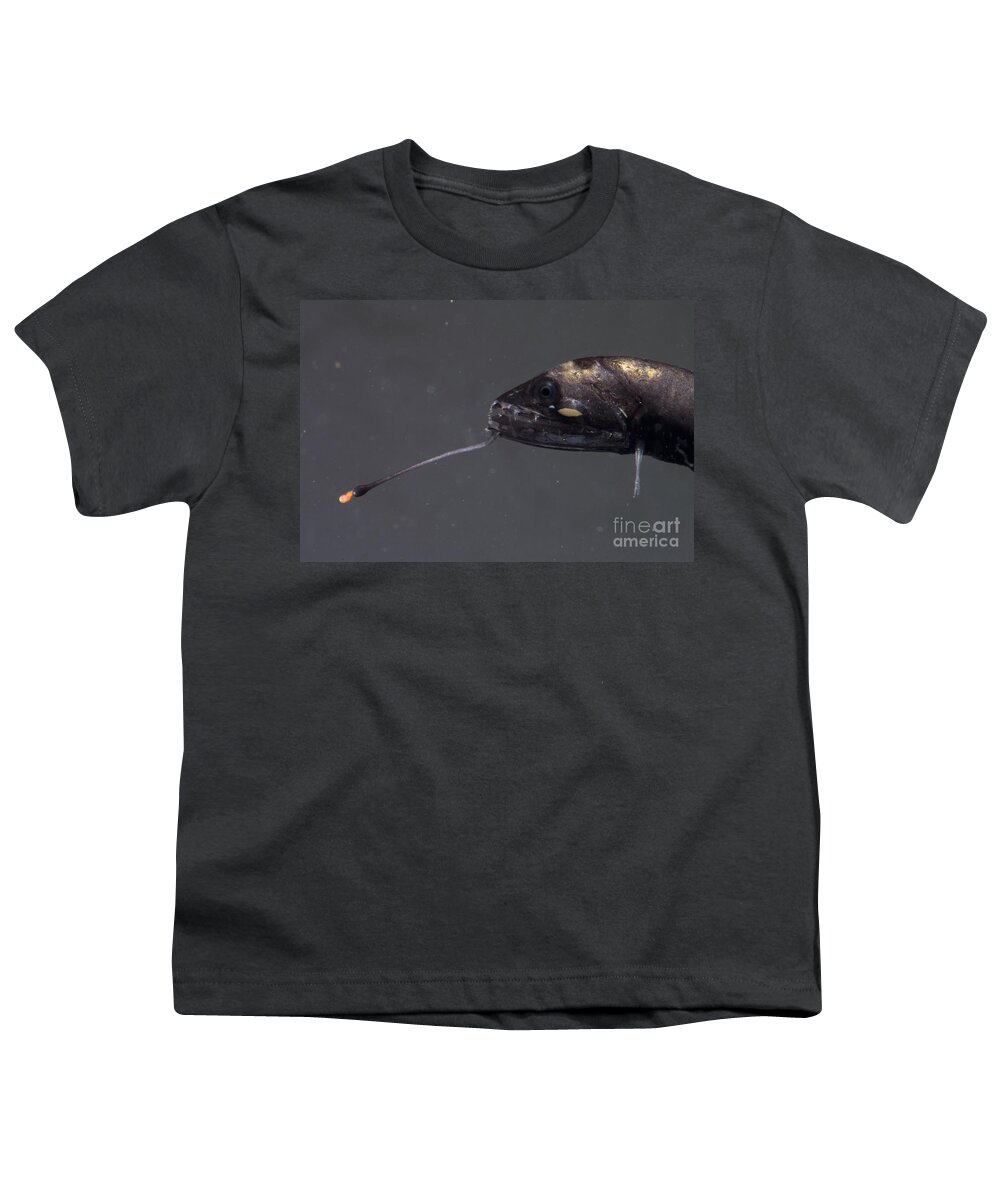Eustomias Youth T-Shirt featuring the photograph Barbeled Dragonfish #1 by Dante Fenolio