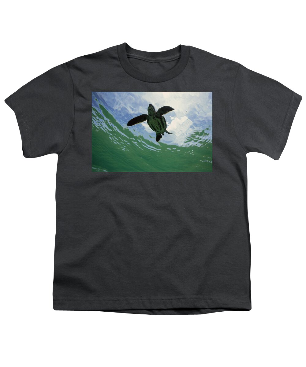 Mp Youth T-Shirt featuring the photograph Leatherback Sea Turtle Dermochelys #1 by Mike Parry