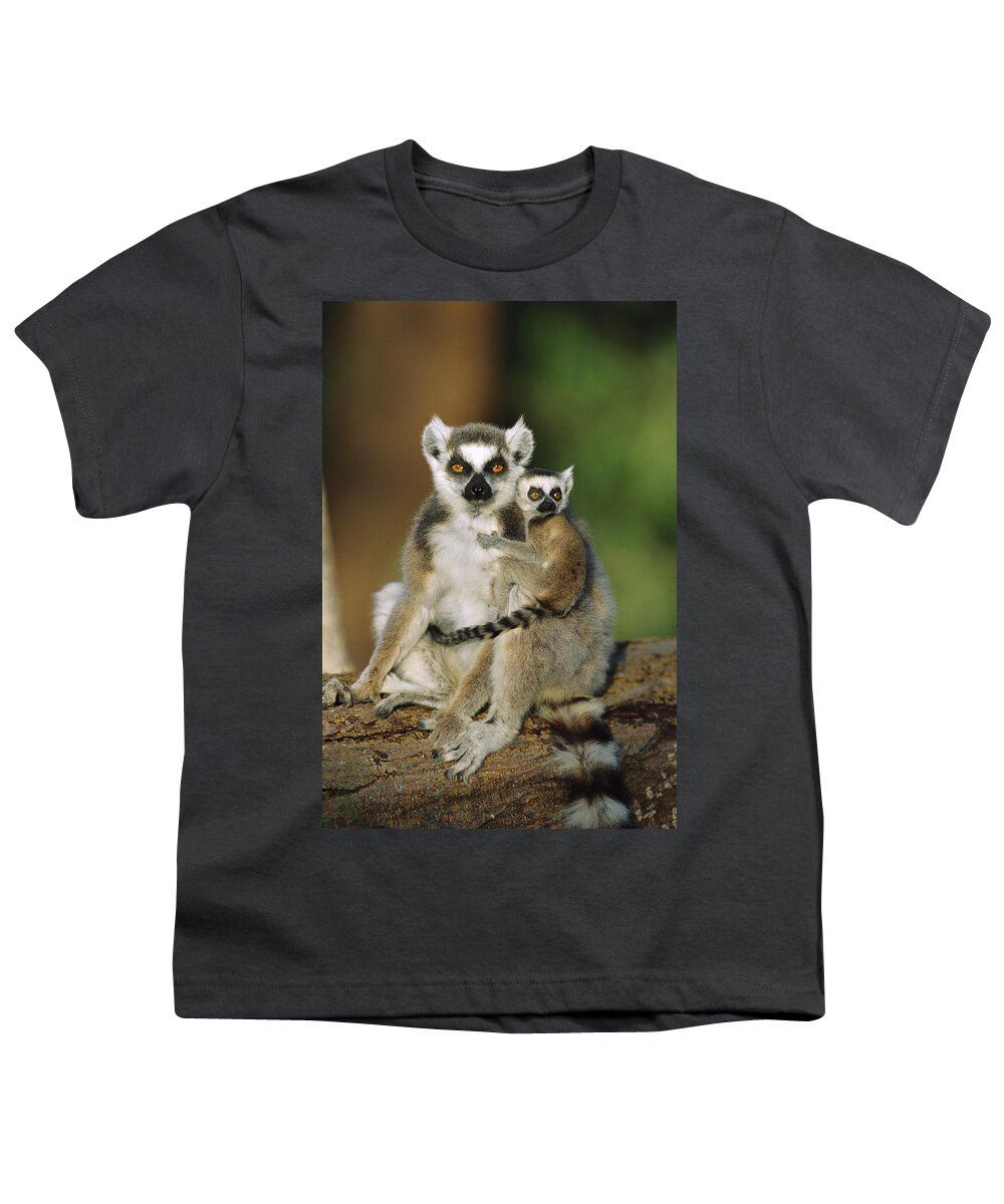 00620248 Youth T-Shirt featuring the photograph Ring-tailed Lemur Mother and Baby #3 by Cyril Ruoso