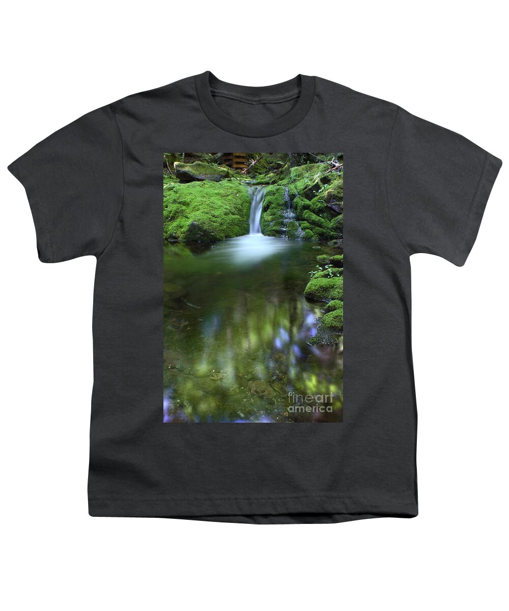 Waterfall Youth T-Shirt featuring the photograph Waterfall #1 by Ted Kinsman