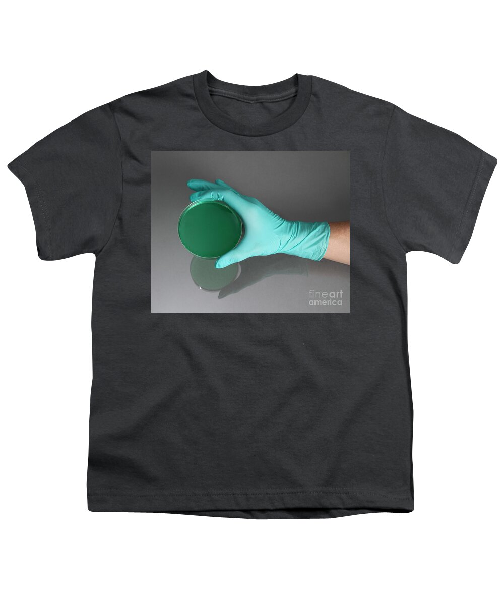 Agar Youth T-Shirt featuring the photograph Hand Holding Petri Dish #11 by Photo Researchers