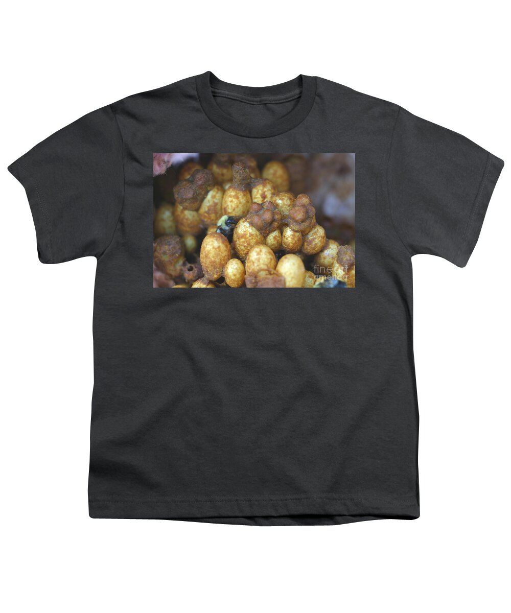 Animal Youth T-Shirt featuring the photograph Bumblebee Nest #3 by Ted Kinsman