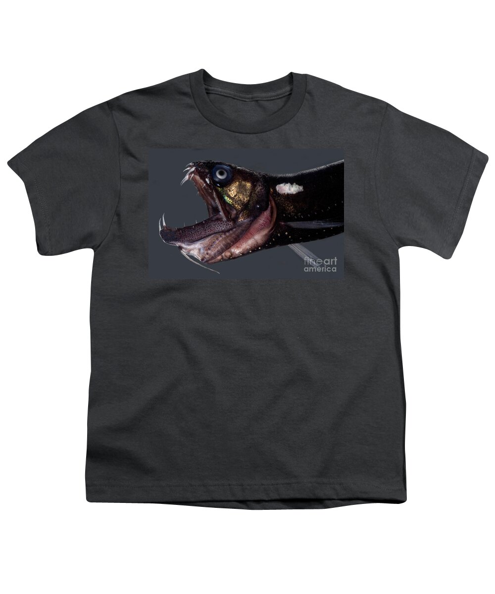 Dragonfish Youth T-Shirt featuring the photograph Dragonfish Mouth #3 by Dant Fenolio