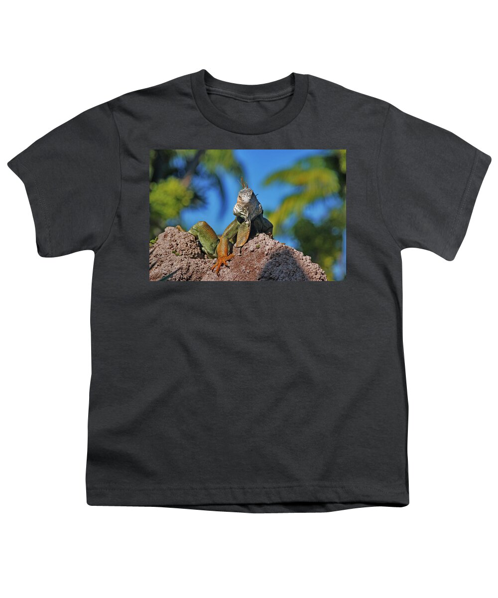 Iguana Youth T-Shirt featuring the photograph 36- King Of The Hill by Joseph Keane