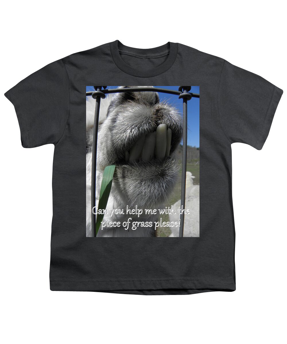 Alpaca Youth T-Shirt featuring the photograph Alpaca funnies by Kim Galluzzo Wozniak