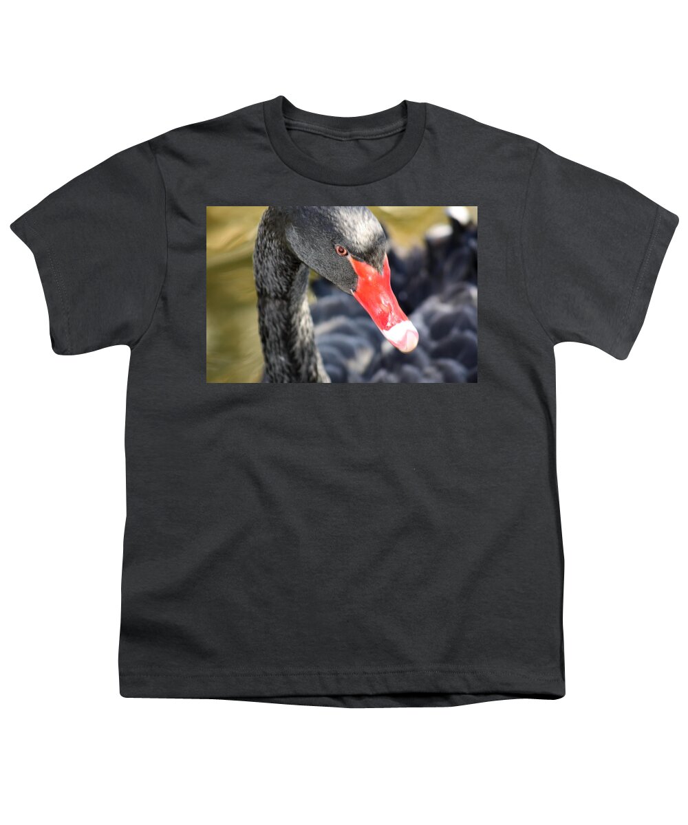 Black Youth T-Shirt featuring the photograph Black Beauty by Kim Galluzzo