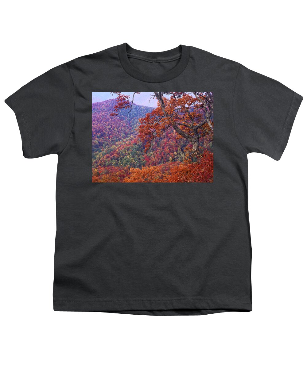00176803 Youth T-Shirt featuring the photograph Blue Ridge Range With Autumn Deciduous by Tim Fitzharris