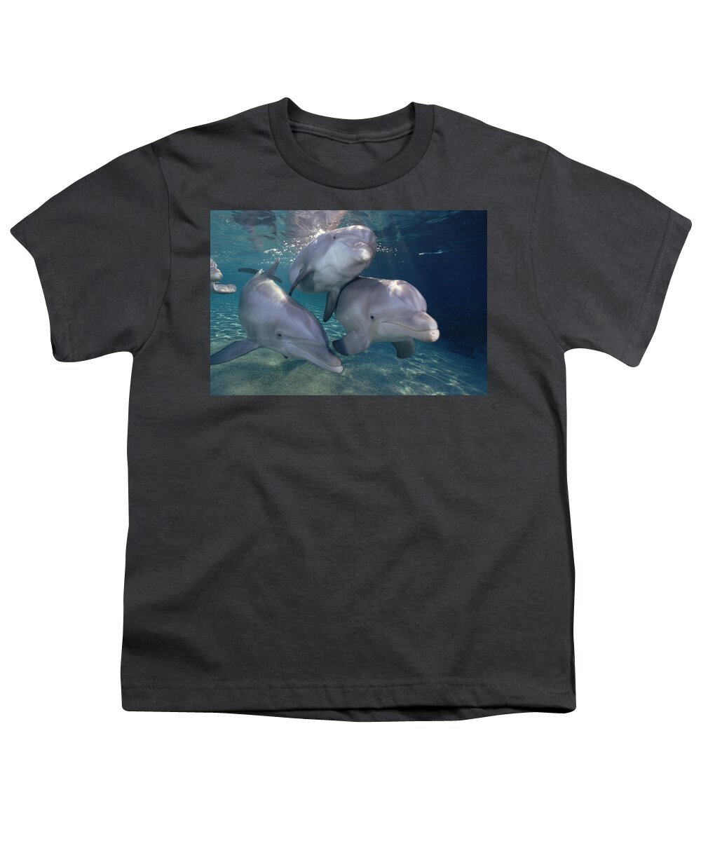 Mp Youth T-Shirt featuring the photograph Bottlenose Dolphin Trio Hawaii by Flip Nicklin