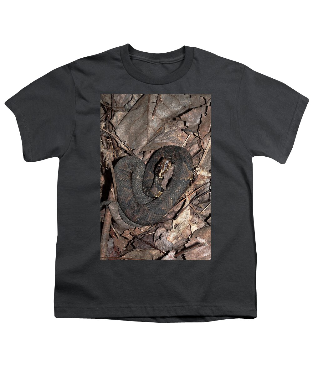 Agkistrodon Piscivorus Youth T-Shirt featuring the photograph Cottonmouth by Daniel Reed