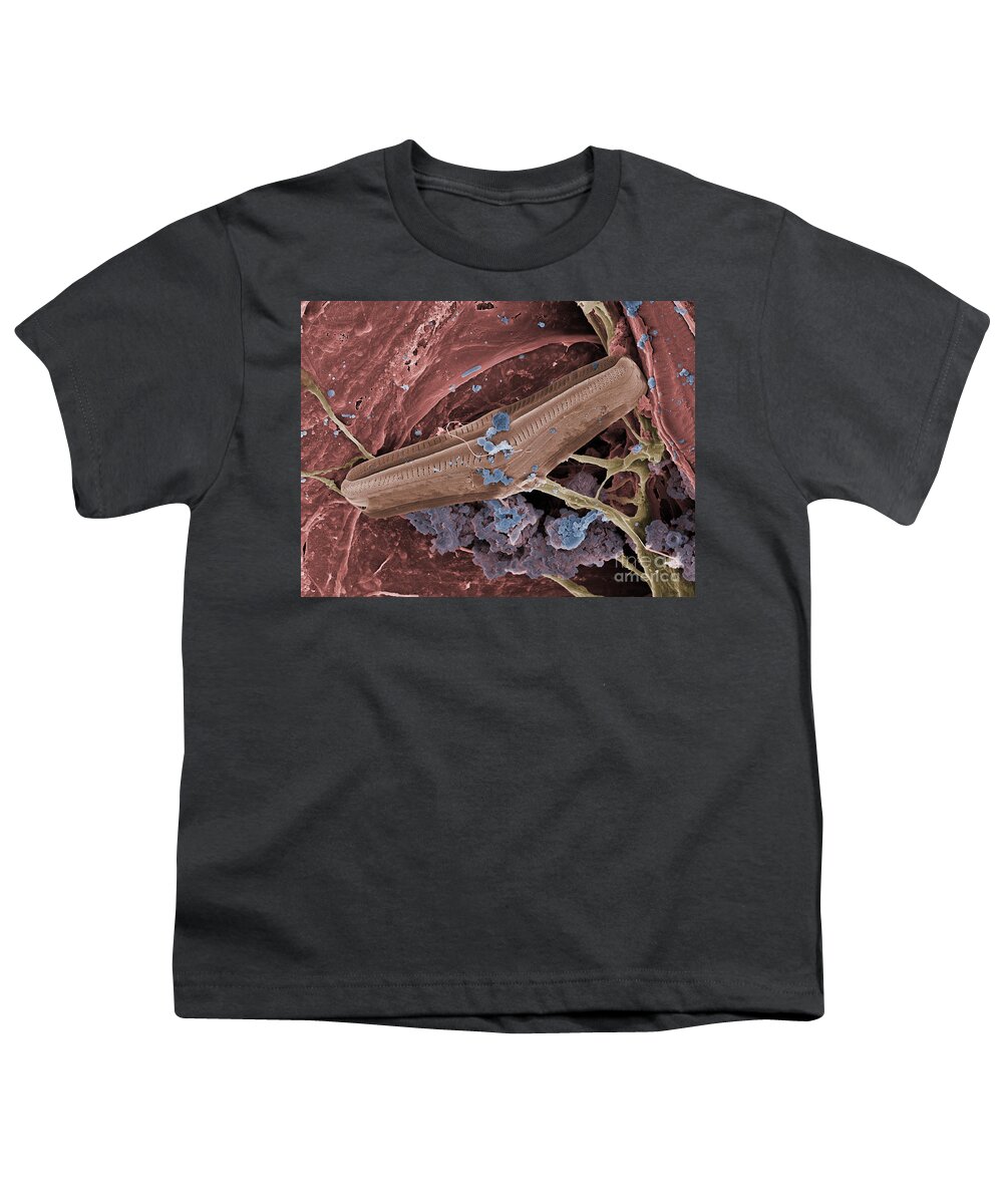 Bacteria Youth T-Shirt featuring the photograph Diatom With Thermophilic Bacteria by Ted Kinsman
