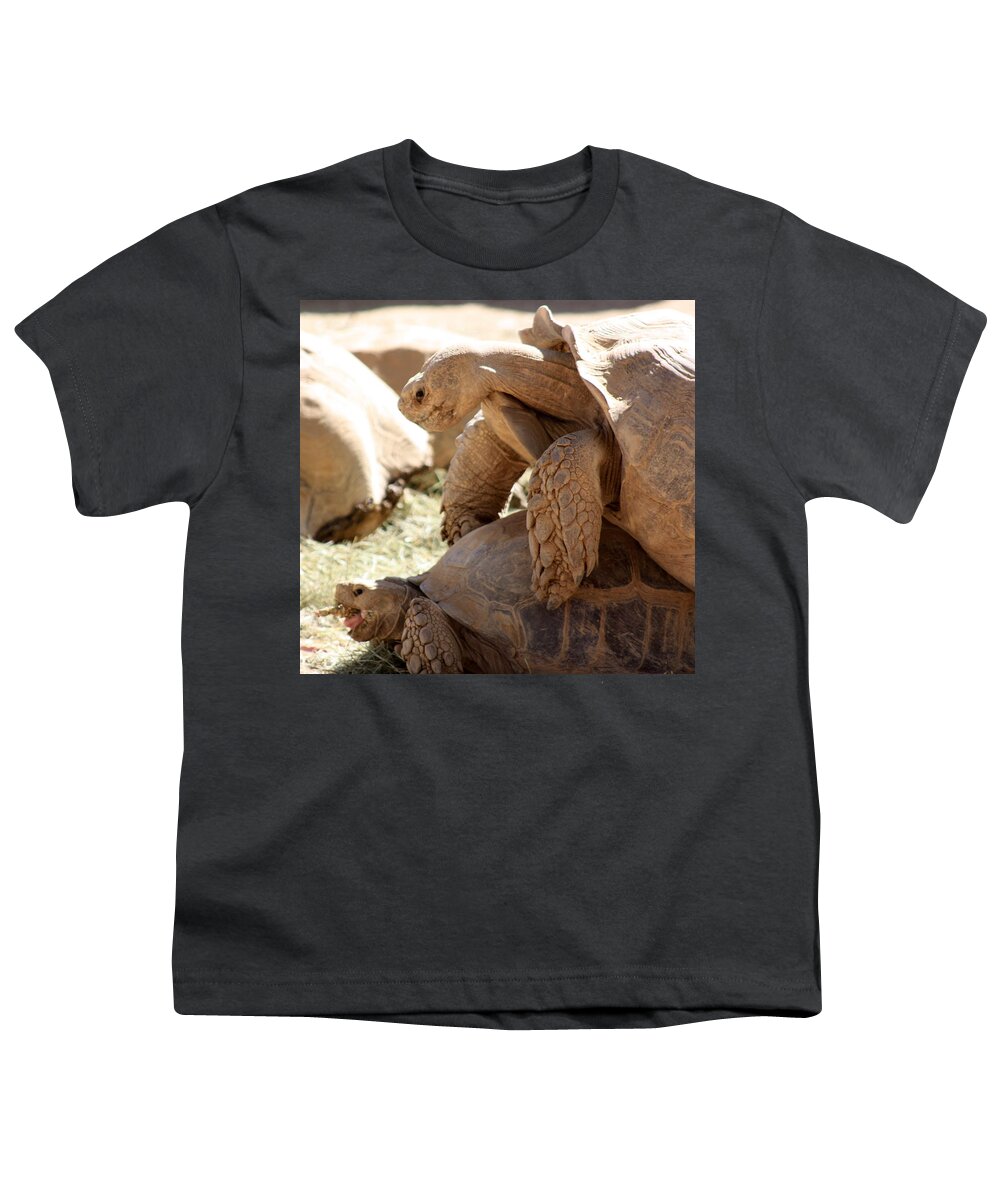Tortoise Youth T-Shirt featuring the photograph Get a room by Kim Galluzzo Wozniak