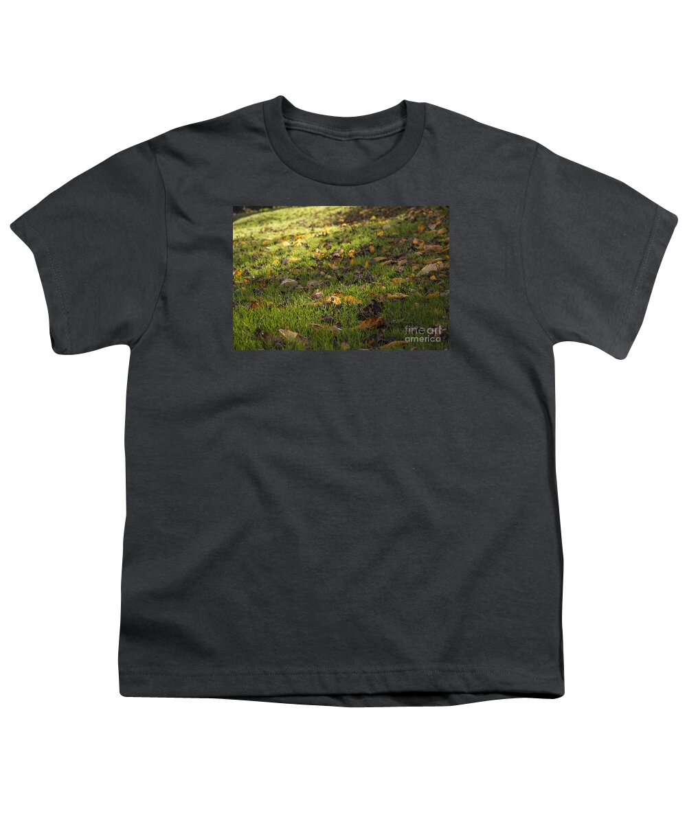 Clare Bambers Youth T-Shirt featuring the photograph Glowing Autumn Day by Clare Bambers