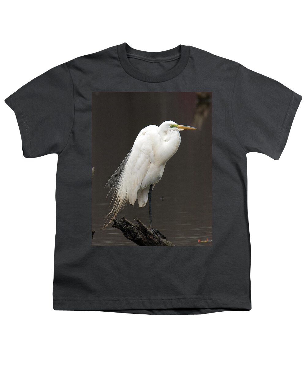 Marsh Youth T-Shirt featuring the photograph Great Egret Resting DMSB0036 by Gerry Gantt