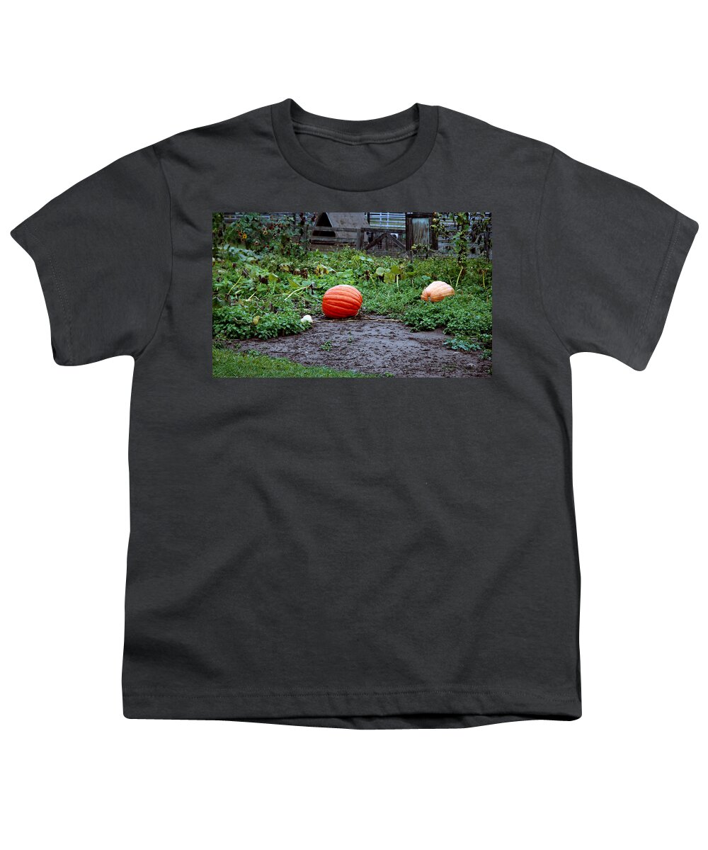 Usa Youth T-Shirt featuring the photograph Great Pumpkin Patch by LeeAnn McLaneGoetz McLaneGoetzStudioLLCcom