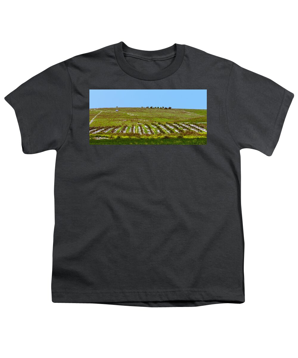 Agriculture Youth T-Shirt featuring the photograph Green hills by Michael Goyberg