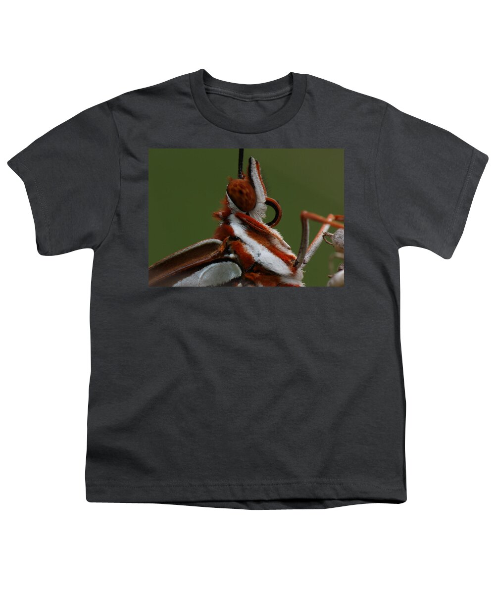 Agraulis Vanillae Youth T-Shirt featuring the photograph Gulf Fritillary Butterfly Portrait by Daniel Reed