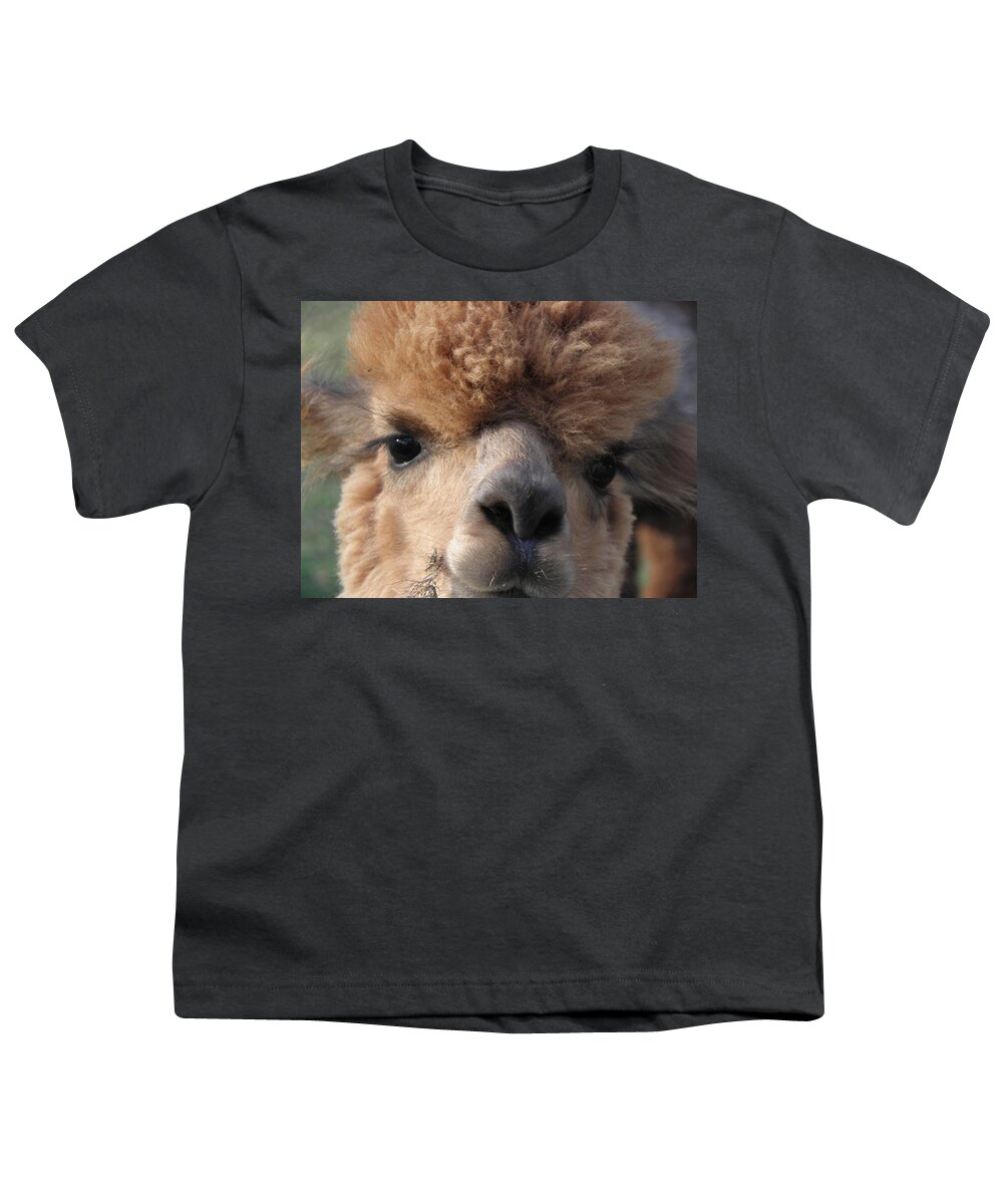 Alpaca Youth T-Shirt featuring the photograph Hello can I help you by Kim Galluzzo