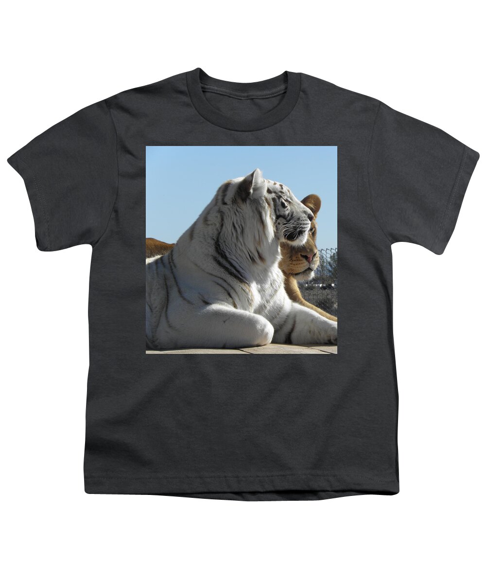 Tiger Youth T-Shirt featuring the photograph Kitty Kitty by Kim Galluzzo