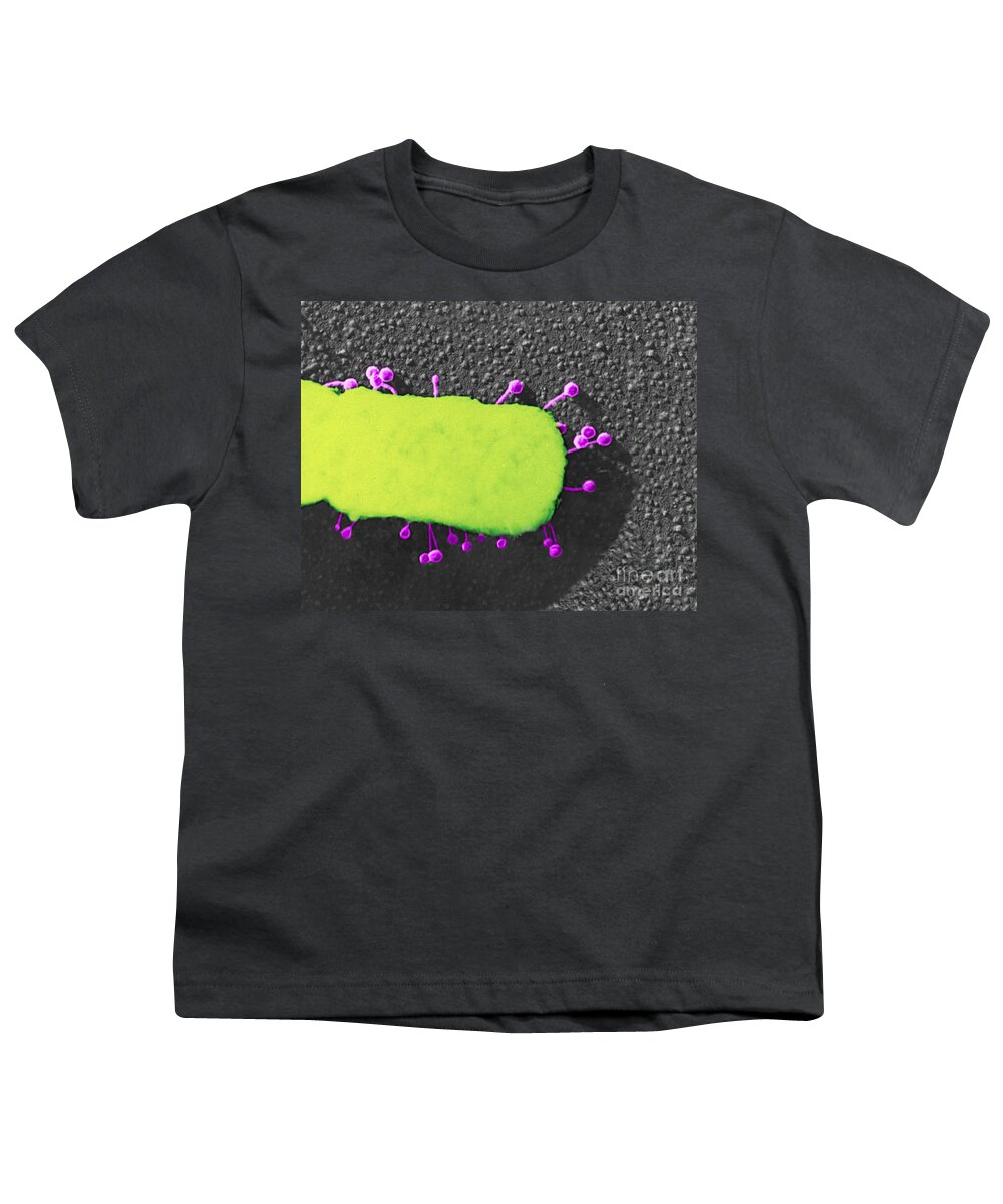 Bacteria Youth T-Shirt featuring the photograph Lambda Phage On E. Coli by Science Source