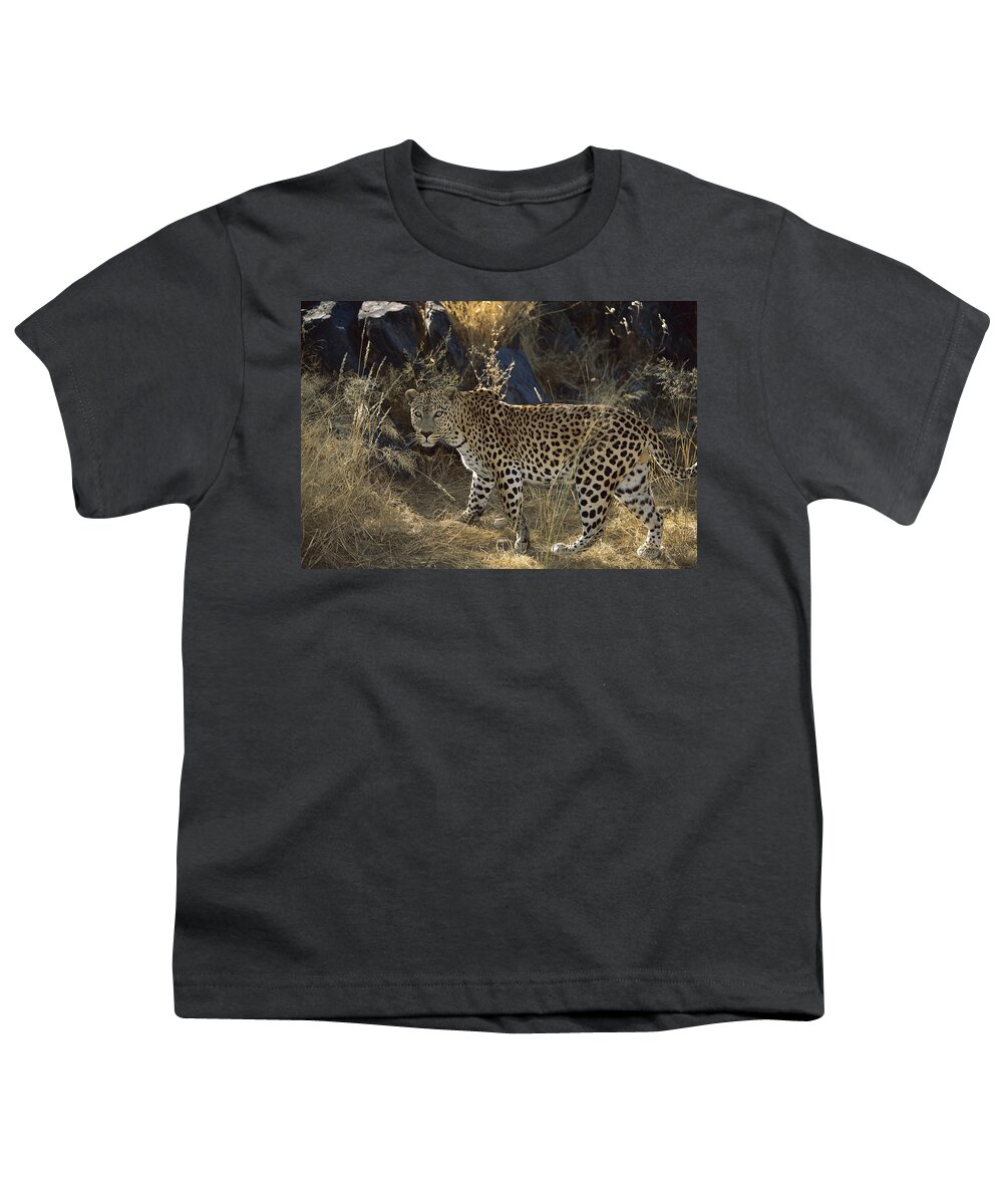 Mp Youth T-Shirt featuring the photograph Leopard Panthera Pardus Moving by Konrad Wothe