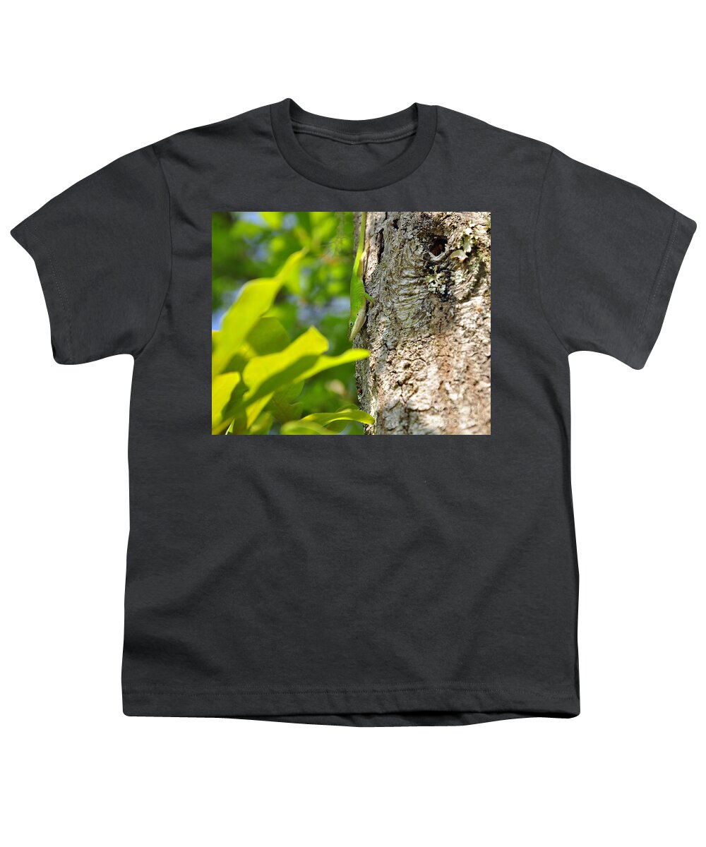 Lizard Youth T-Shirt featuring the photograph Looking Lizard by Al Powell Photography USA