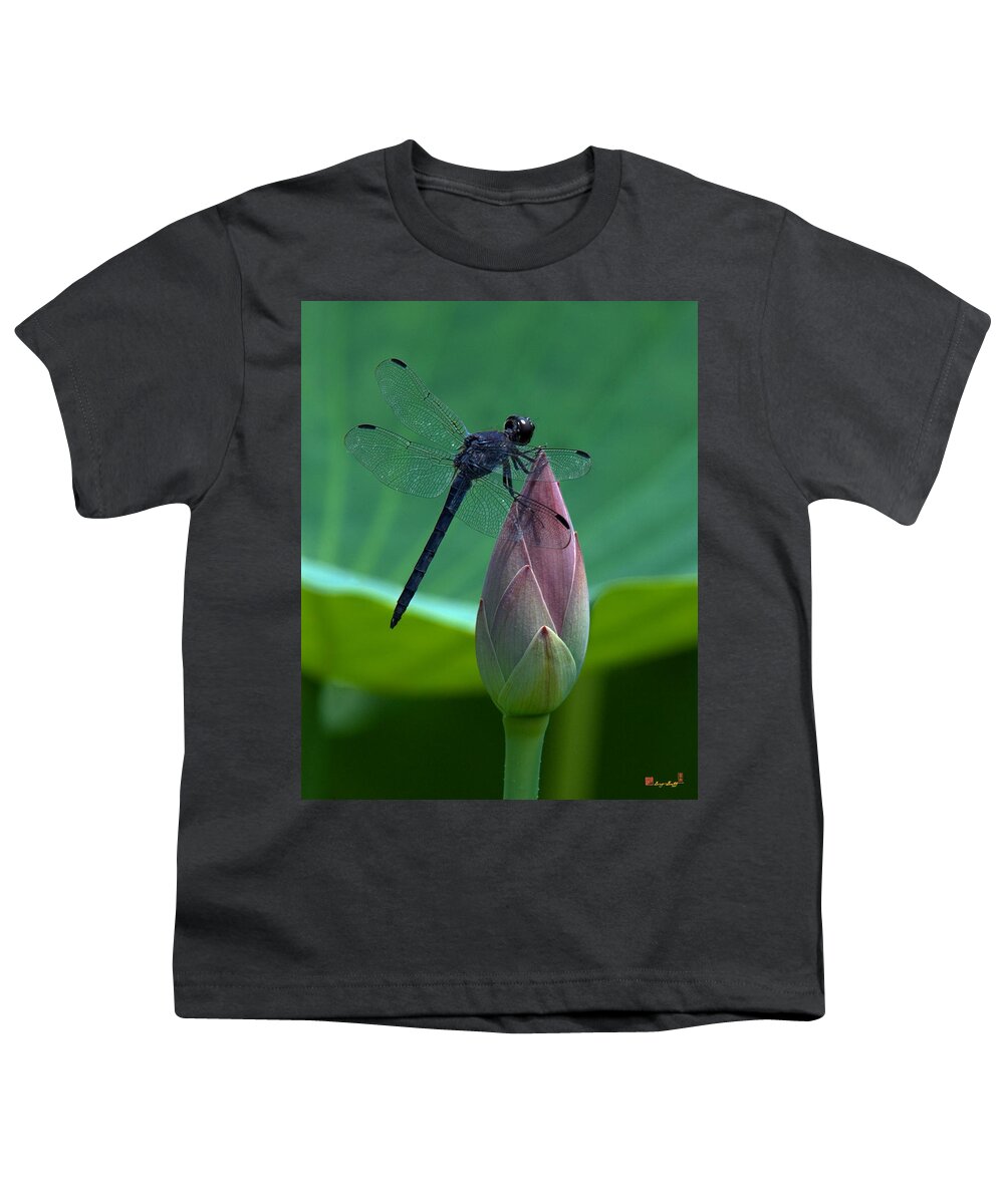 Nature Youth T-Shirt featuring the photograph Lotus Bud and Slatey Skimmer Dragonfly DL072 by Gerry Gantt