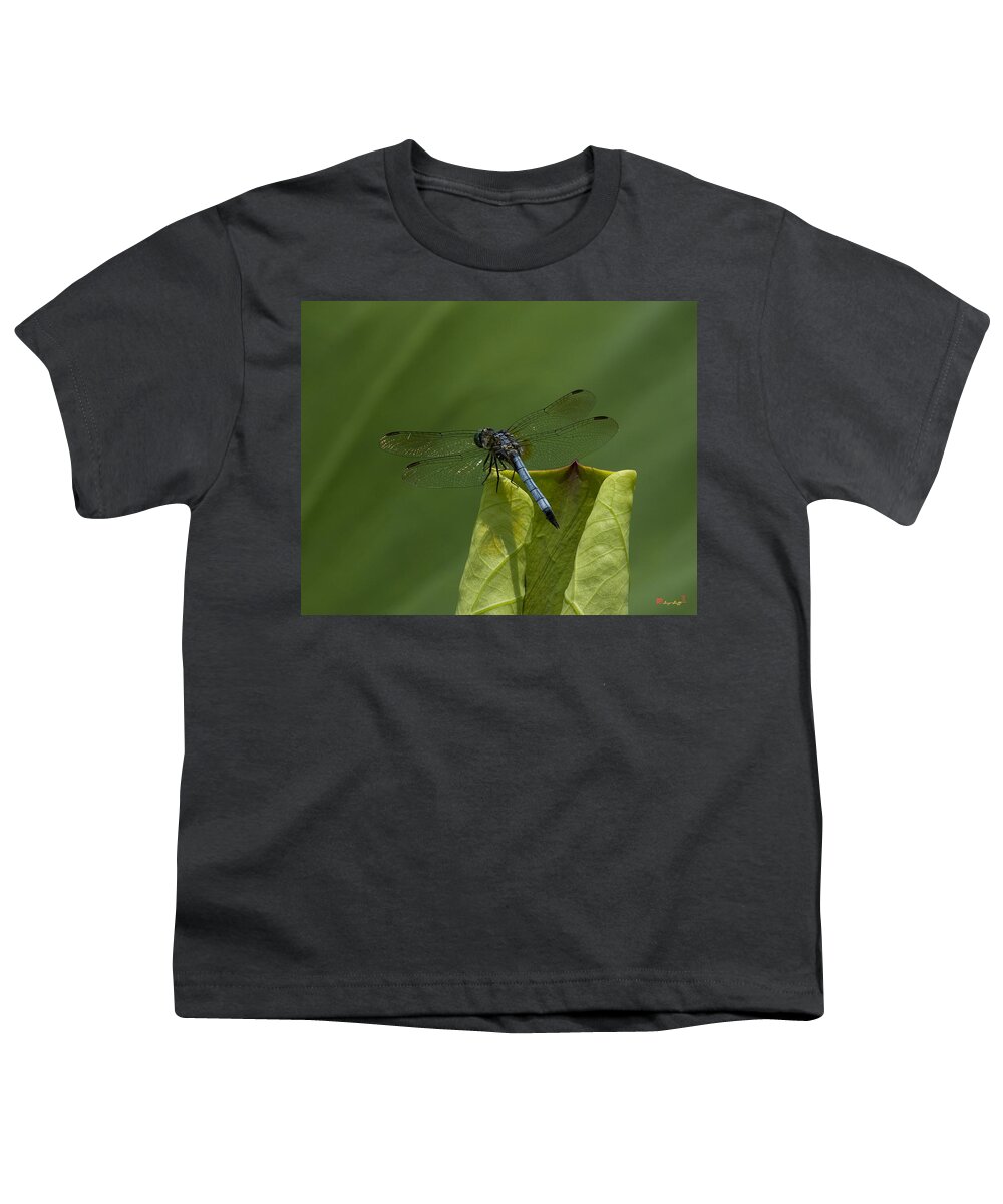 Nature Youth T-Shirt featuring the photograph Lotus Leaf and Blue Dasher Dragonfly DL058 by Gerry Gantt