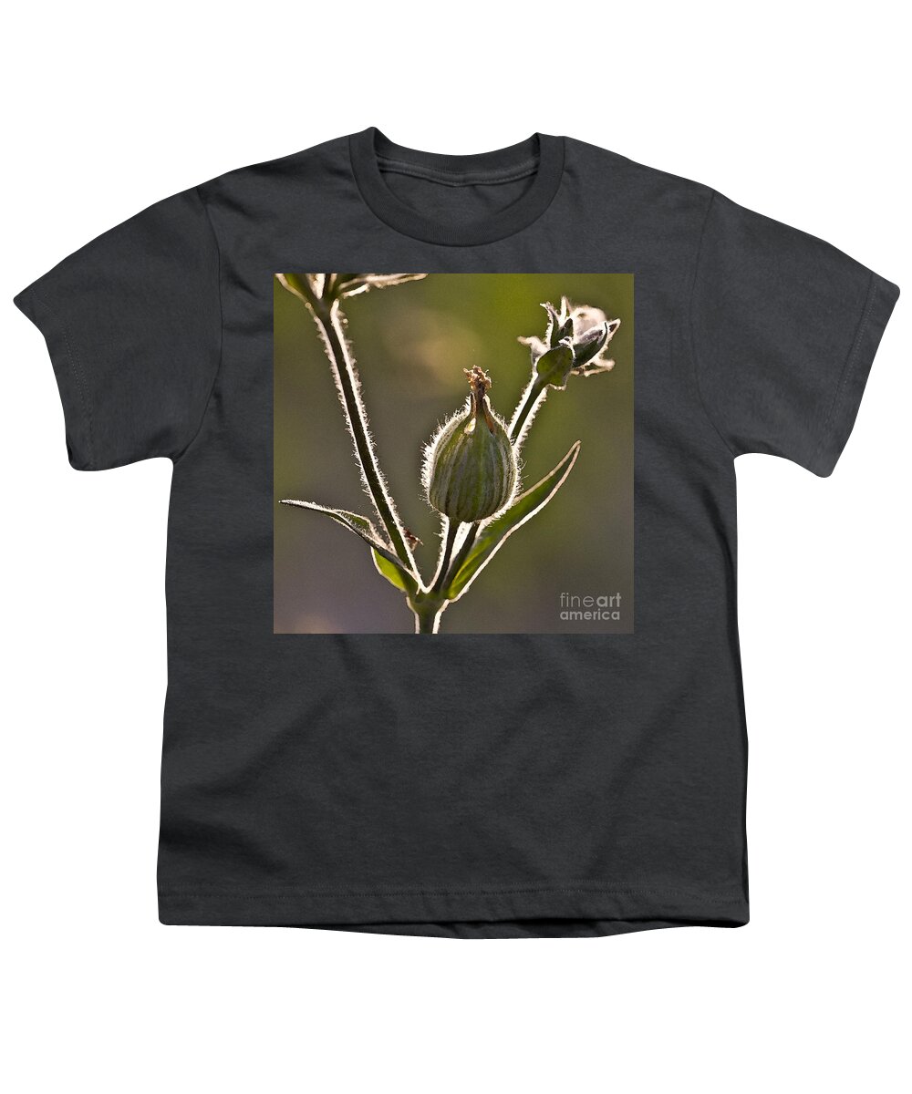 Decorative Youth T-Shirt featuring the photograph Luminous Halo by Heiko Koehrer-Wagner