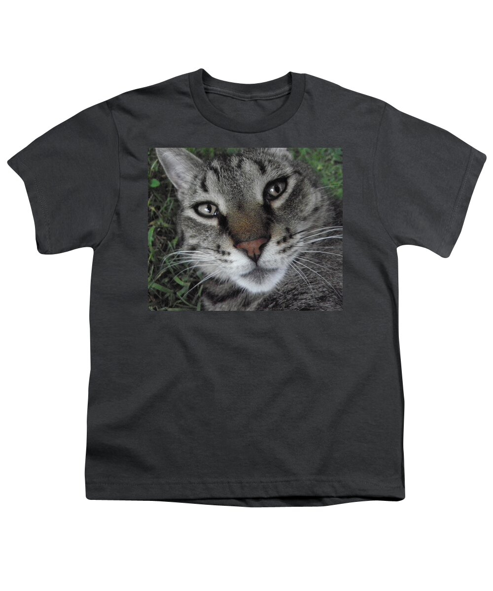 Cat Youth T-Shirt featuring the photograph Mesmerized by Kim Galluzzo