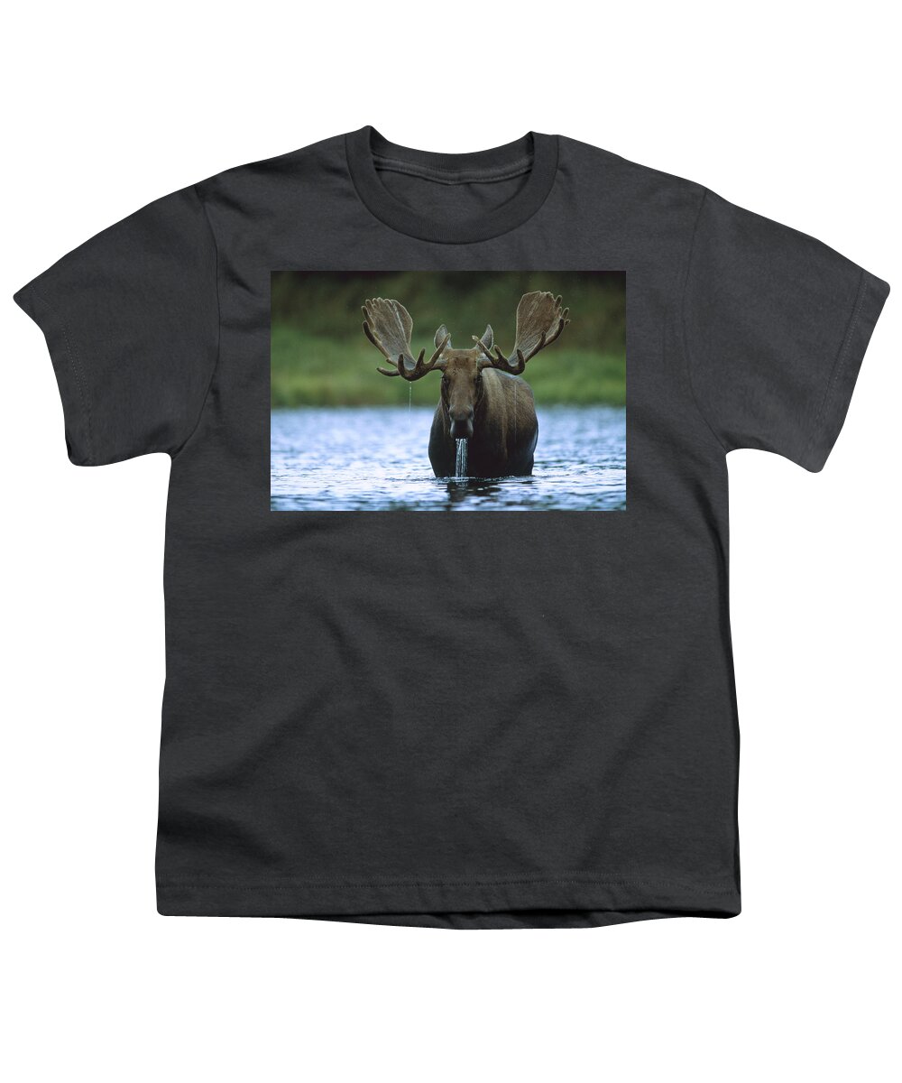 00172624 Youth T-Shirt featuring the photograph Moose Male Raising Its Head While by Tim Fitzharris