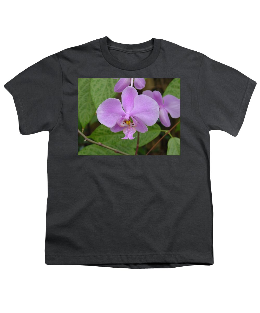 Orchid Youth T-Shirt featuring the photograph Pale Pink Orchid by Charles and Melisa Morrison
