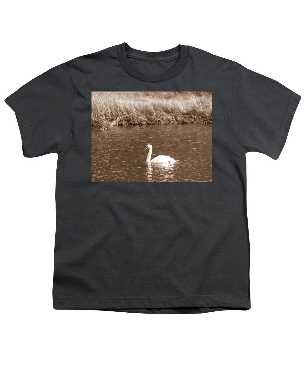 Swan Youth T-Shirt featuring the photograph Papa Swan by Kim Galluzzo