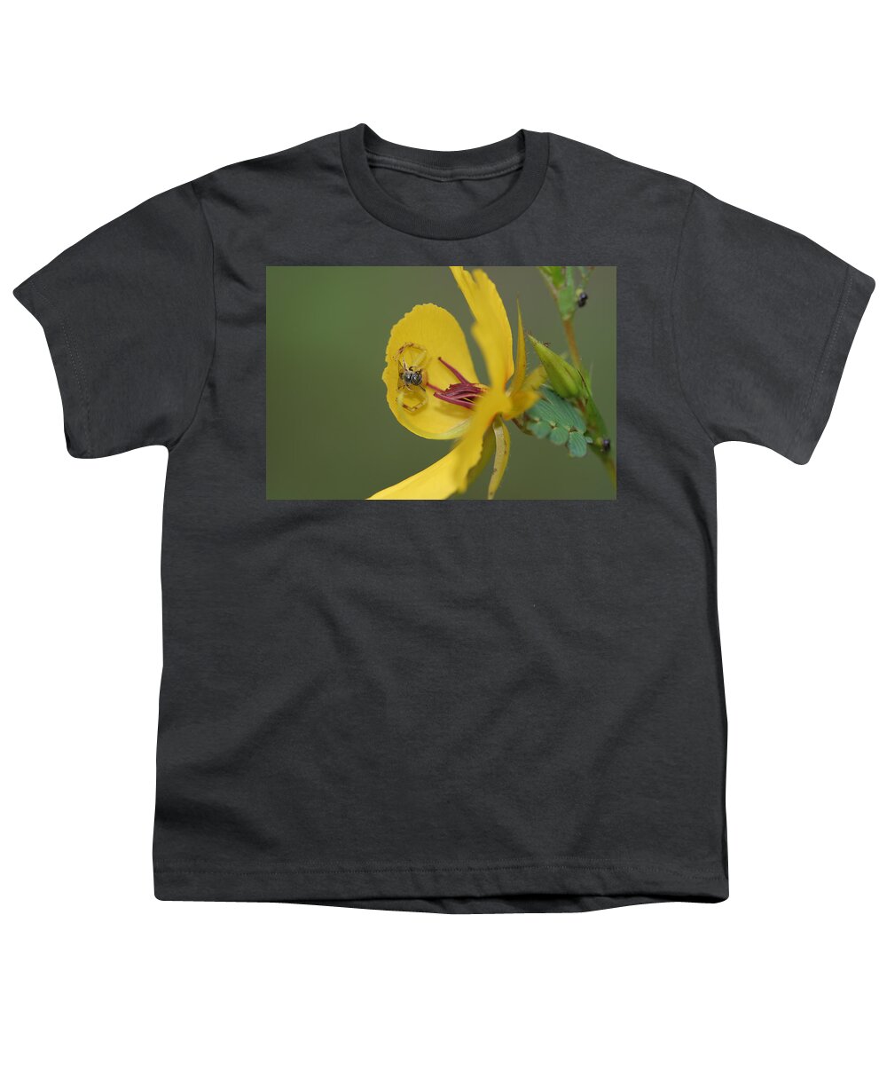 Partridge Pea Youth T-Shirt featuring the photograph Partridge Pea And Matching Crab Spider With Prey by Daniel Reed