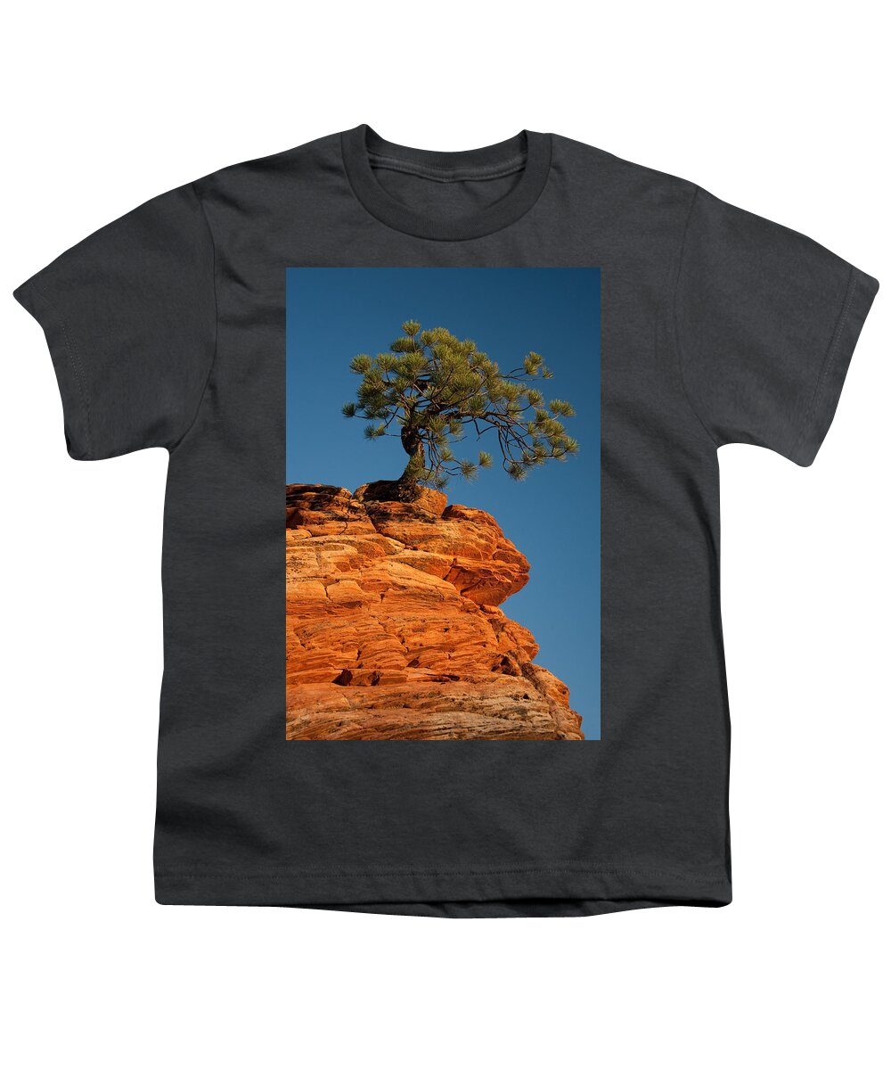 Pine Youth T-Shirt featuring the photograph Pine On Rock by Ralf Kaiser