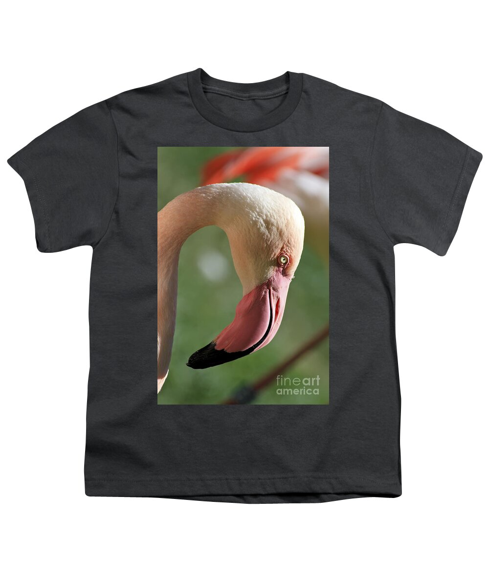 Animal Youth T-Shirt featuring the photograph Pink Flamingo by Teresa Zieba