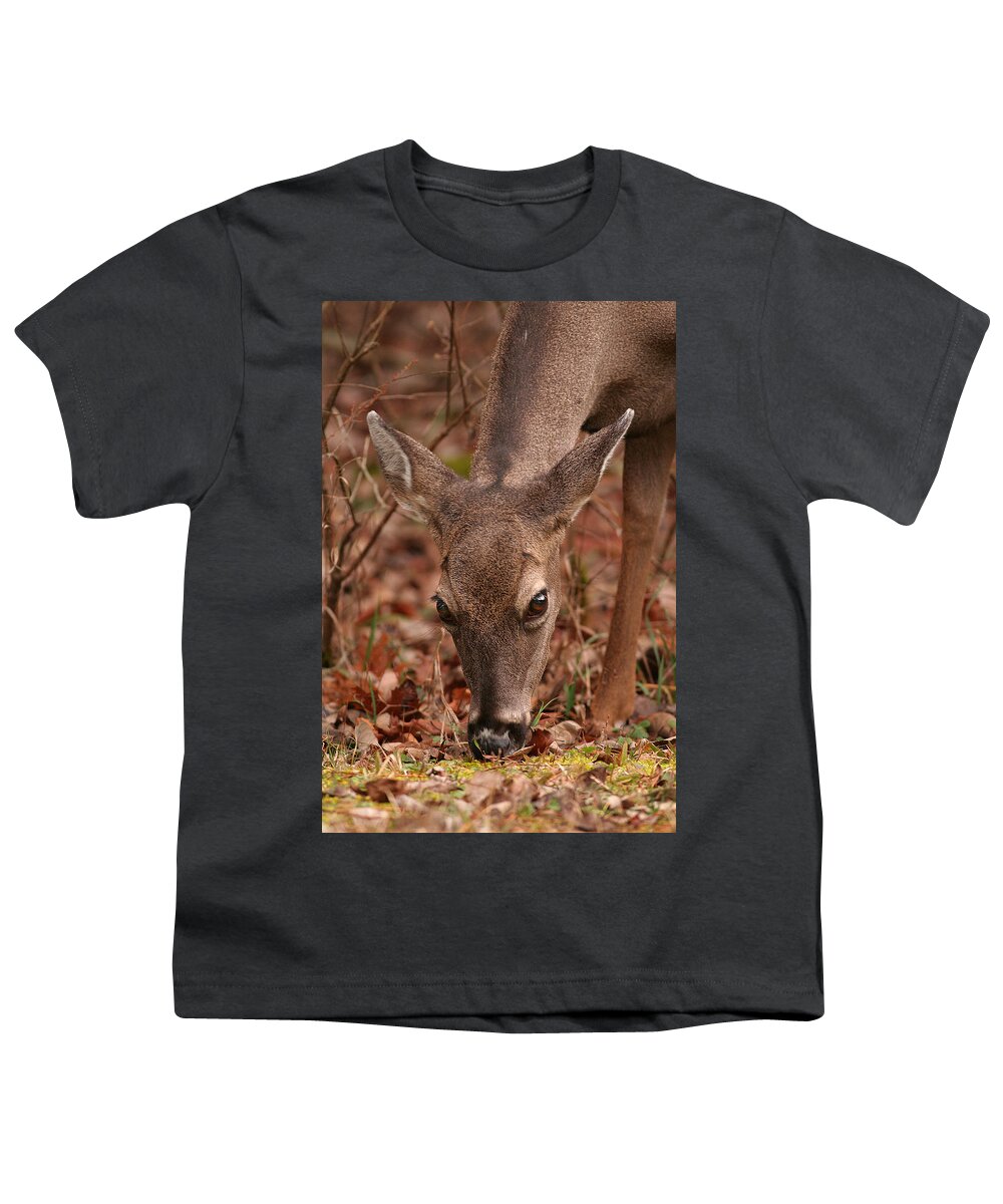 Odocoileus Virginanus Youth T-Shirt featuring the photograph Portrait Of Browsing Deer Two by Daniel Reed