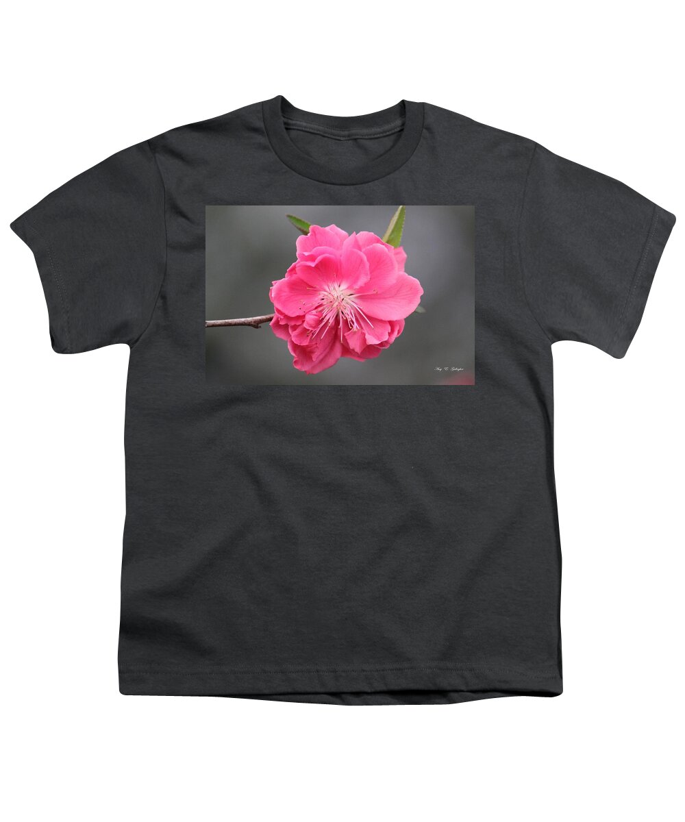 Pink Youth T-Shirt featuring the photograph Pretty In Pink by Amy Gallagher