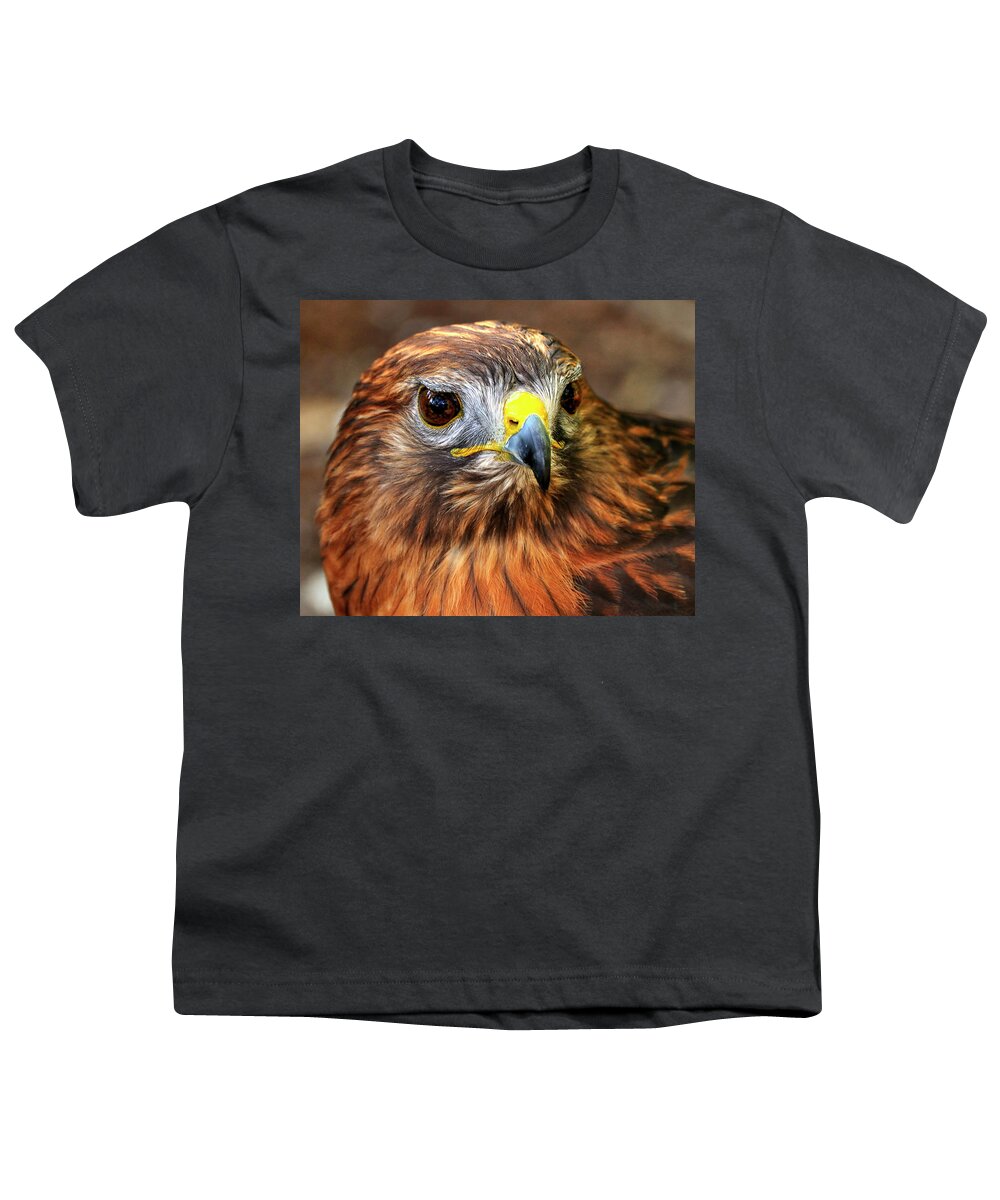Red-tailed Youth T-Shirt featuring the photograph Red-tailed Hawk Portrait by Bill Dodsworth