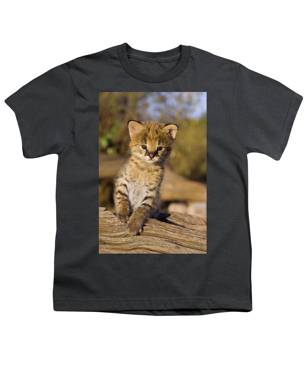00761947 Youth T-Shirt featuring the photograph Serval Kitten by Suzi Eszterhas
