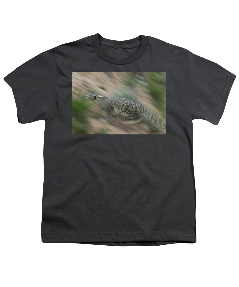 Mp Youth T-Shirt featuring the photograph Snow Leopard Uncia Uncia Running by Cyril Ruoso