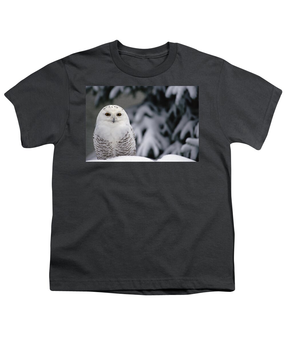 Mp Youth T-Shirt featuring the photograph Snowy Owl Nyctea Scandiaca Camouflaged by Gerry Ellis
